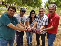 Equipe de pesquisadores da Ufersa e do IFRN que vem acreditando na viticultura no semiárido potiguar / Foto: Assecom Ufersa